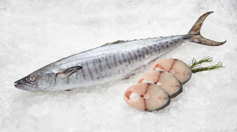 King Fish