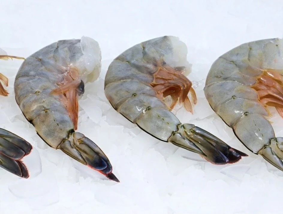 Our Products Prawns