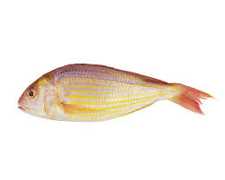 Our Products Threadfin Bream