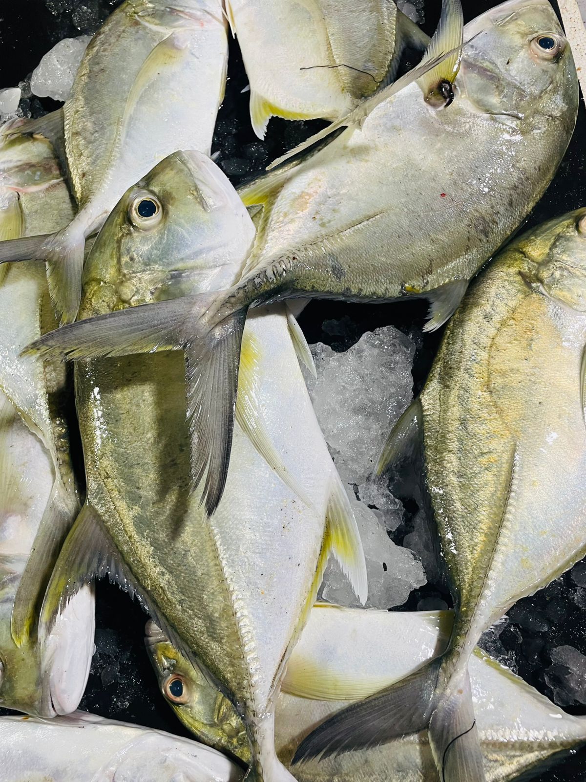 Gallery image 7 - seafood detail
