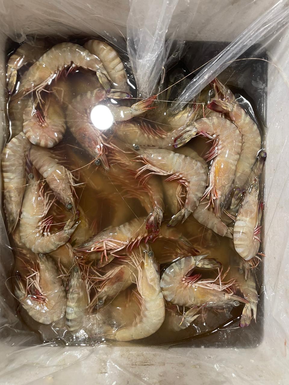 Gallery image 11 - seafood gallery view